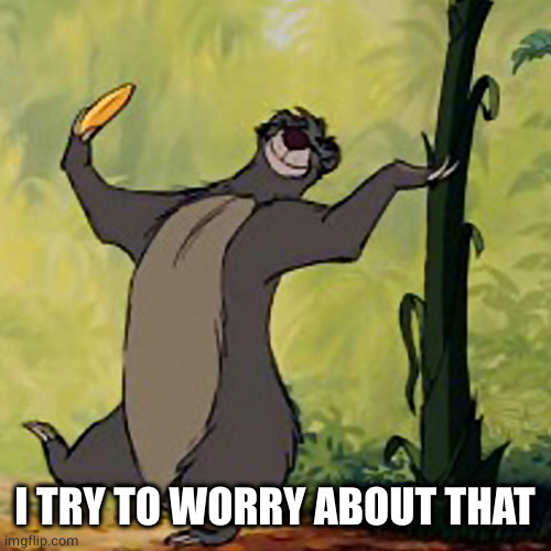 Baloo Jungle Book | I TRY TO WORRY ABOUT THAT | image tagged in baloo jungle book | made w/ Imgflip meme maker