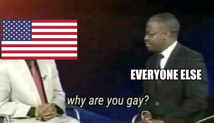 Why are you gay? | EVERYONE ELSE | image tagged in why are you gay | made w/ Imgflip meme maker