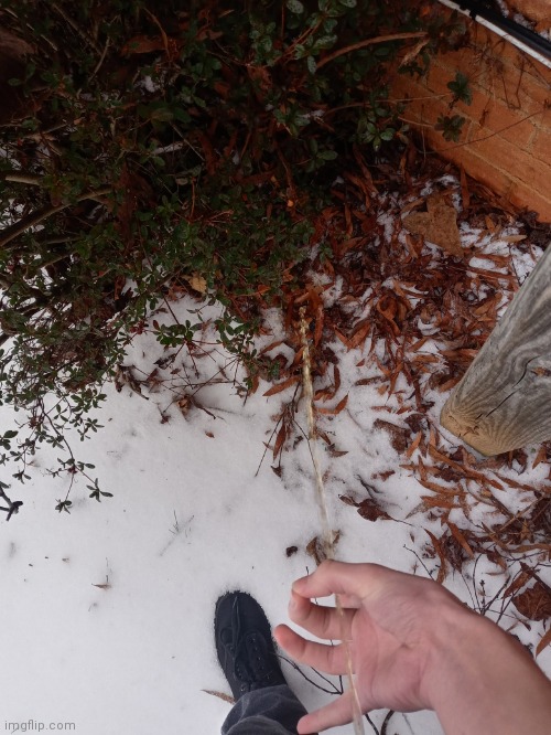 Who would piss in the cold? | made w/ Imgflip meme maker