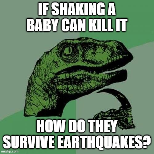 can someone in the areas with those explain? | IF SHAKING A BABY CAN KILL IT; HOW DO THEY SURVIVE EARTHQUAKES? | image tagged in memes,philosoraptor,babies,questions | made w/ Imgflip meme maker
