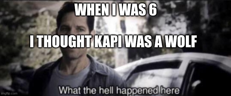 What the hell happened here |  WHEN I WAS 6; I THOUGHT KAPI WAS A WOLF | image tagged in what the hell happened here | made w/ Imgflip meme maker