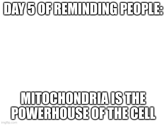 day 5 | DAY 5 OF REMINDING PEOPLE:; MITOCHONDRIA IS THE POWERHOUSE OF THE CELL | image tagged in blank white template | made w/ Imgflip meme maker