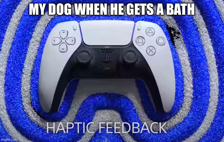 Introducing the new Doggo, now with haptic feedback | MY DOG WHEN HE GETS A BATH | image tagged in dog,ps5,playstation | made w/ Imgflip meme maker