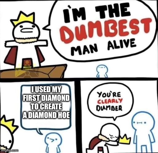 Dumbest Man Alive Blank | I USED MY FIRST DIAMOND TO CREATE A DIAMOND HOE | image tagged in dumbest man alive blank | made w/ Imgflip meme maker