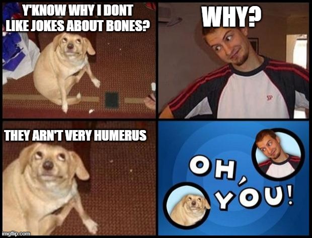 Oh You | WHY? Y'KNOW WHY I DONT LIKE JOKES ABOUT BONES? THEY ARN'T VERY HUMERUS | image tagged in oh you | made w/ Imgflip meme maker