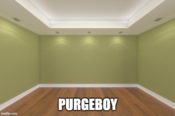Empty Room | PURGEBOY | image tagged in empty room | made w/ Imgflip meme maker