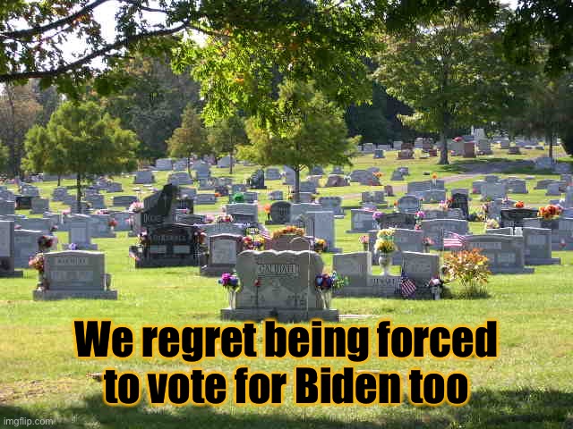 cemetery | We regret being forced to vote for Biden too | image tagged in cemetery | made w/ Imgflip meme maker