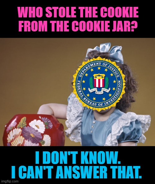 You obviously know something... | WHO STOLE THE COOKIE FROM THE COOKIE JAR? I DON'T KNOW. I CAN'T ANSWER THAT. | image tagged in federal bureau of investigation,legal defense bashing | made w/ Imgflip meme maker