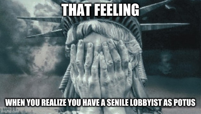 Statue of Liberty Crying | THAT FEELING; WHEN YOU REALIZE YOU HAVE A SENILE LOBBYIST AS POTUS | image tagged in statue of liberty crying | made w/ Imgflip meme maker