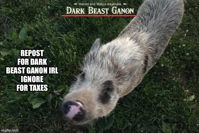 REPOST FOR DARK BEAST GANON IRL
IGNORE FOR TAXES | made w/ Imgflip meme maker