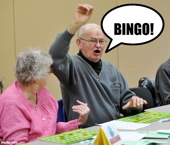 Bingo | BINGO! | image tagged in bingo | made w/ Imgflip meme maker