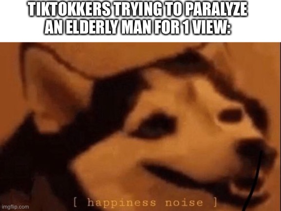 [happiness noise] | TIKTOKKERS TRYING TO PARALYZE AN ELDERLY MAN FOR 1 VIEW: | image tagged in happiness noise | made w/ Imgflip meme maker