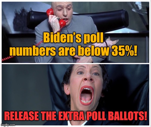 Dr Evil and Frau Yelling | Biden’s poll numbers are below 35%! RELEASE THE EXTRA POLL BALLOTS! | image tagged in dr evil and frau yelling | made w/ Imgflip meme maker