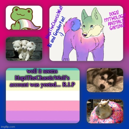 F | well it seems HapiTheChaoticWolf's account was yeeted... R.I.P | image tagged in hapithechaoticwolf s new background,damn | made w/ Imgflip meme maker
