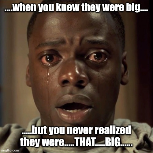 get-out-movie | ....when you knew they were big.... .....but you never realized they were.....THAT.....BIG...... | image tagged in get-out-movie | made w/ Imgflip meme maker