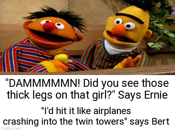 Gorgeous. Just gorgeous | "DAMMMMMN! Did you see those thick legs on that girl?" Says Ernie; "I'd hit it like airplanes crashing into the twin towers" says Bert | image tagged in 9/11,ernie and bert,bert and ernie,sesame street,dayum,dark humor | made w/ Imgflip meme maker