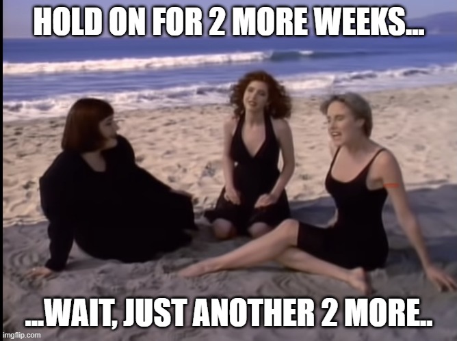 Hold on for one more day | HOLD ON FOR 2 MORE WEEKS... ...WAIT, JUST ANOTHER 2 MORE.. | image tagged in hold on for one more day | made w/ Imgflip meme maker