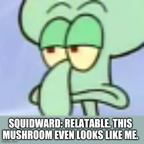 Bored Squidward | SQUIDWARD: RELATABLE. THIS MUSHROOM EVEN LOOKS LIKE ME. | image tagged in bored squidward | made w/ Imgflip meme maker