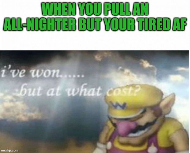 Why must I harm myself in this way? | WHEN YOU PULL AN ALL-NIGHTER BUT YOUR TIRED AF | image tagged in i won but at what cost | made w/ Imgflip meme maker