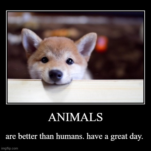 Animals Are Better Than Humans Poem