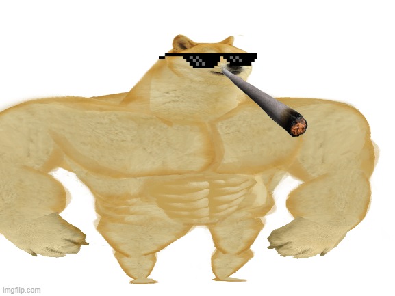 swole doge | image tagged in doge | made w/ Imgflip meme maker