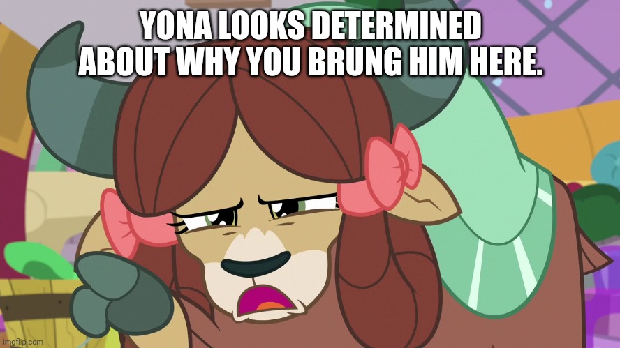YONA LOOKS DETERMINED ABOUT WHY YOU BRUNG HIM HERE. | made w/ Imgflip meme maker