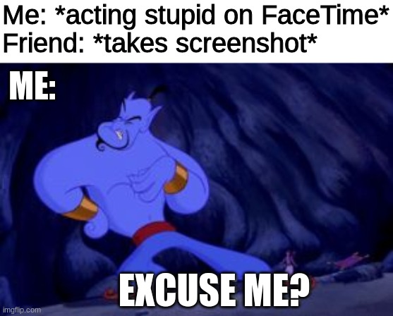 "You BETTER delete that!" |  Me: *acting stupid on FaceTime*
Friend: *takes screenshot*; ME:; EXCUSE ME? | image tagged in aladdin,disney,facetime,screenshot,stupid,excuse me | made w/ Imgflip meme maker
