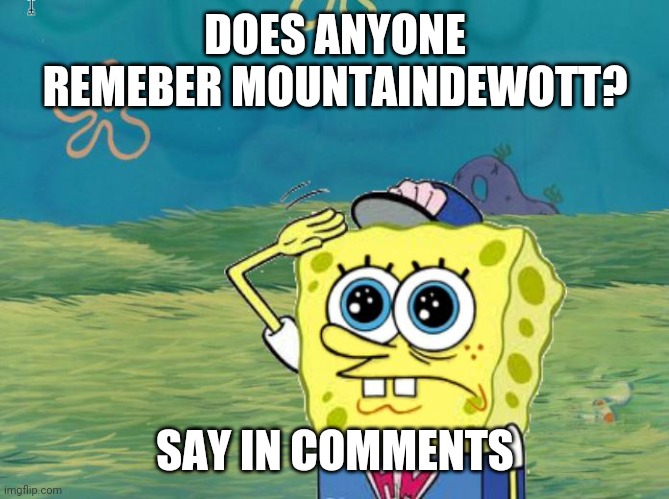 Anyone remeber this rebel against tiktok? | DOES ANYONE REMEBER MOUNTAINDEWOTT? SAY IN COMMENTS | image tagged in spongebob salute | made w/ Imgflip meme maker