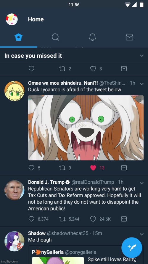 XD | image tagged in pokemon,lycanroc,twitter idk | made w/ Imgflip meme maker