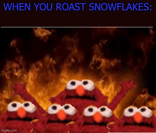 Me and the boys | WHEN YOU ROAST SNOWFLAKES: | image tagged in me and the boys | made w/ Imgflip meme maker