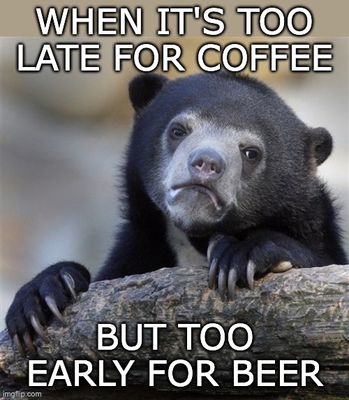 The bear latitudes | WHEN IT'S TOO LATE FOR COFFEE; BUT TOO EARLY FOR BEER | image tagged in memes,confession bear,beer,coffee | made w/ Imgflip meme maker