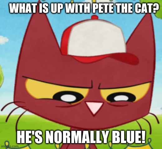 WHAT IS UP WITH PETE THE CAT? HE'S NORMALLY BLUE! | image tagged in funny memes,first world problems | made w/ Imgflip meme maker