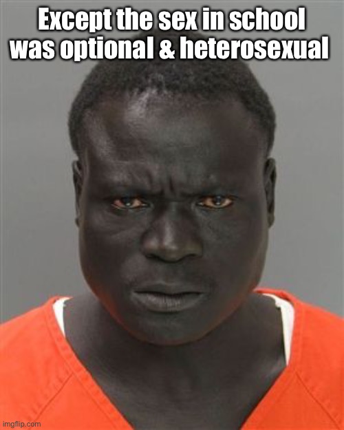 Misunderstood Prison Inmate | Except the sex in school was optional & heterosexual | image tagged in misunderstood prison inmate | made w/ Imgflip meme maker