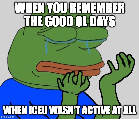 tOXCI HATEERSSSSS | WHEN YOU REMEMBER THE GOOD OL DAYS; WHEN ICEU WASN'T ACTIVE AT ALL | image tagged in pepe cry | made w/ Imgflip meme maker