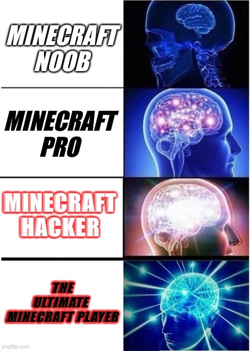 Progression of minecraft players | MINECRAFT NOOB; MINECRAFT PRO; MINECRAFT HACKER; THE ULTIMATE 
MINECRAFT PLAYER | image tagged in memes,expanding brain | made w/ Imgflip meme maker