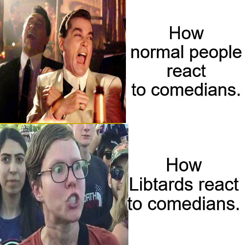 Normal Reactions | How normal people react to comedians. How Libtards react to comedians. | image tagged in laughing leo,triggered liberal | made w/ Imgflip meme maker