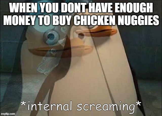 I don't have enough money to buy chicken nuggies.   :( | WHEN YOU DONT HAVE ENOUGH MONEY TO BUY CHICKEN NUGGIES | image tagged in private internal screaming | made w/ Imgflip meme maker