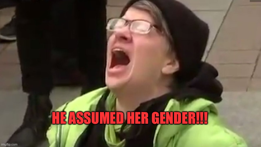 Screaming Liberal  | HE ASSUMED HER GENDER!!! | image tagged in screaming liberal | made w/ Imgflip meme maker