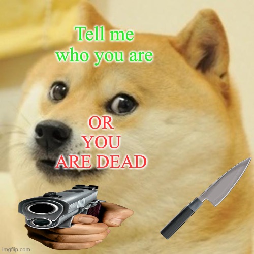 Your name please | Tell me who you are; OR YOU ARE DEAD | image tagged in memes,doge | made w/ Imgflip meme maker