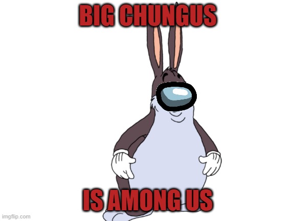 Blank White Template |  BIG CHUNGUS; IS AMONG US | image tagged in blank white template | made w/ Imgflip meme maker