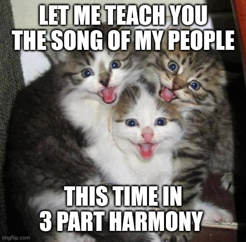 The song of my people cat cries | LET ME TEACH YOU THE SONG OF MY PEOPLE; THIS TIME IN 3 PART HARMONY | image tagged in happy kittens,cat,kitty,kitten,kittens | made w/ Imgflip meme maker