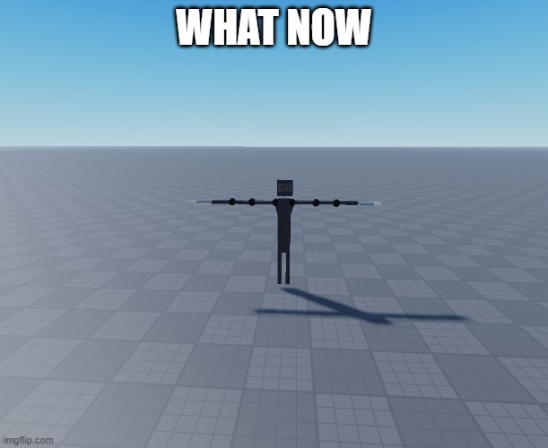 WHAT NOW | made w/ Imgflip meme maker
