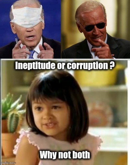 The worst of both worlds | image tagged in cool joe biden,why not both,corruption,not my president,politicians suck,stinky | made w/ Imgflip meme maker