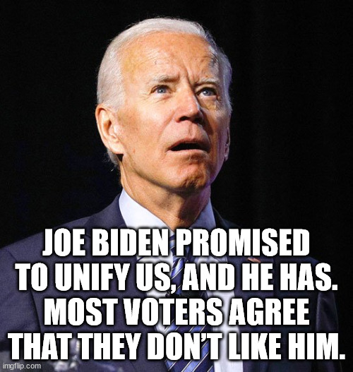 Joe Biden promised to unify us, and he has. Most voters agree that they don’t like him. | JOE BIDEN PROMISED TO UNIFY US, AND HE HAS.
MOST VOTERS AGREE THAT THEY DON’T LIKE HIM. | image tagged in joe biden | made w/ Imgflip meme maker