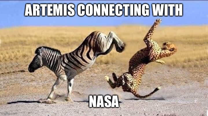 Zebra vs Cheetah | ARTEMIS CONNECTING WITH; NASA | image tagged in zebra vs cheetah | made w/ Imgflip meme maker