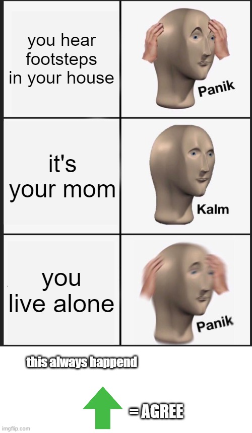O-O |  you hear footsteps in your house; it's your mom; you live alone; this always happend; = AGREE | image tagged in memes,panik kalm panik | made w/ Imgflip meme maker