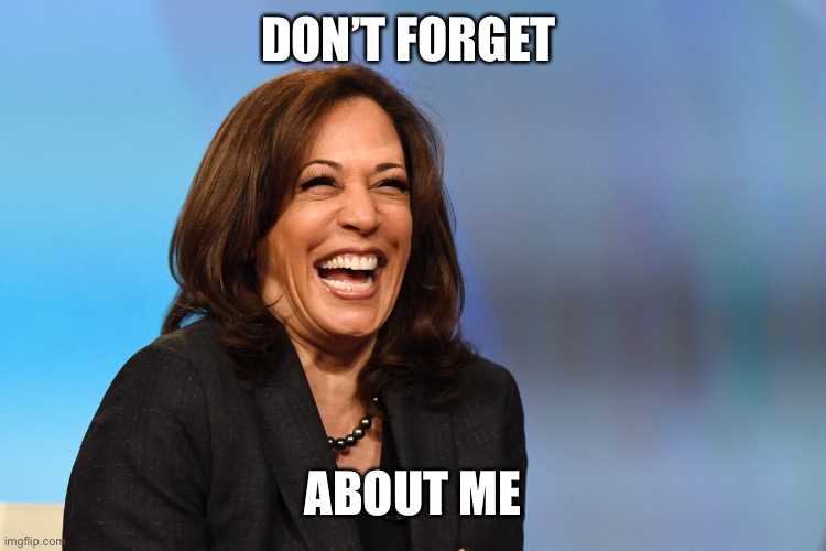 Kamala Harris laughing | DON’T FORGET ABOUT ME | image tagged in kamala harris laughing | made w/ Imgflip meme maker