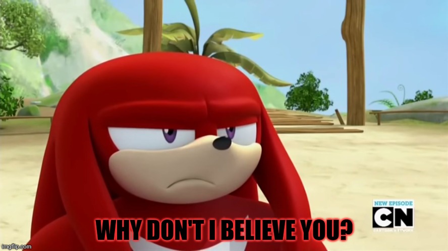 Knuckles is not Impressed - Sonic Boom | WHY DON'T I BELIEVE YOU? | image tagged in knuckles is not impressed - sonic boom | made w/ Imgflip meme maker
