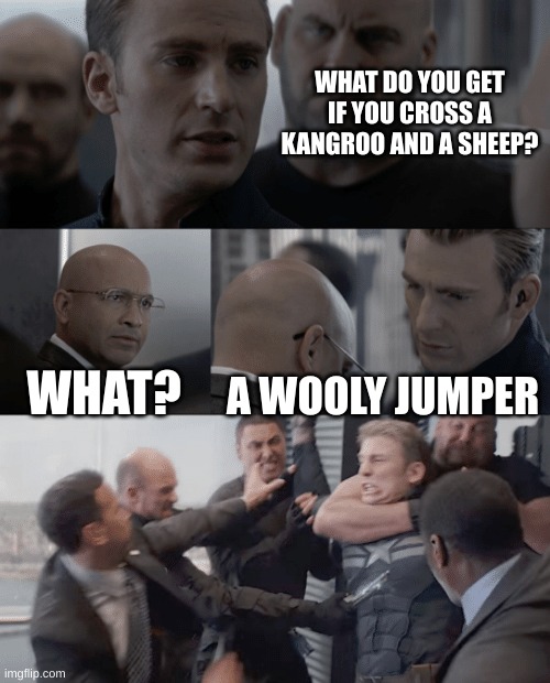 Captain america elevator | WHAT DO YOU GET IF YOU CROSS A KANGROO AND A SHEEP? WHAT? A WOOLY JUMPER | image tagged in captain america elevator | made w/ Imgflip meme maker