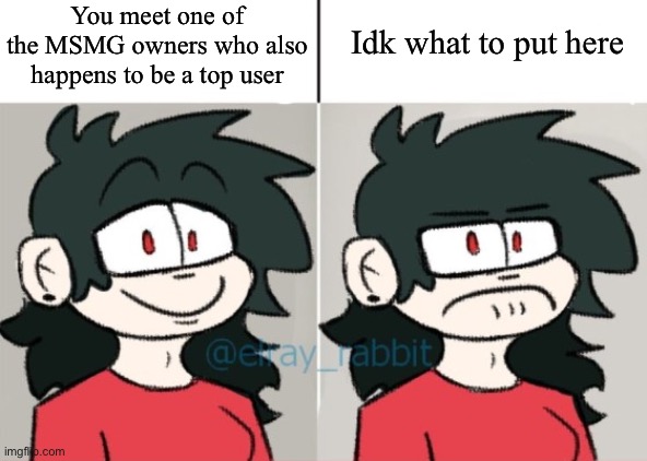 Anne, but in the Drake Format | You meet one of the MSMG owners who also happens to be a top user; Idk what to put here | image tagged in anne but in the drake format | made w/ Imgflip meme maker